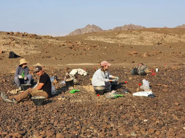 Prace przy sondażu geologicznym na stanowisku metalurgicznym w Wadi Salh (Fot. CAŚ UW/ Agnieszka Szymczak)