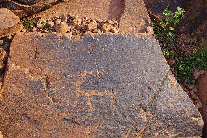 Petroglif przedstawiający koziorożca. (M. Leloch) 