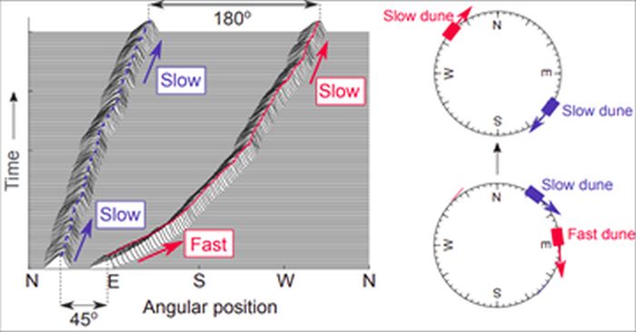 Figura: Un gráfico que muestra la rapidez con la que se movieron las dunas de arena en el experimento.  Duna se aleja 