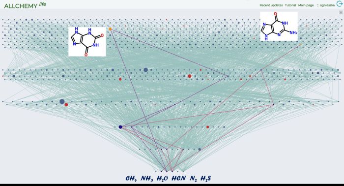 "Drzewo życia" - graf pokazujący związki chemiczne, które mogły powstać na prebiotycznej Ziemi. Startując z najbardziej podstawowych i rozpowszechnionych substratów startowych: metanu, amoniaku, wody, cyjanowodoru, azotu i siarkowodoru (najniższy rząd grafu), w ciągu zaledwie pięciu generacji obliczeń (kolejnych reakcji) uzyskujemy ponad 1000 związków chemicznych. Czerwone węzły grafu to cząsteczki biotyczne - zasady azotowe, aminokwasy, cukry. Dwie z nich - ksantyna i guanina - zostały podświetlone. Źródło: A. Wołos. 