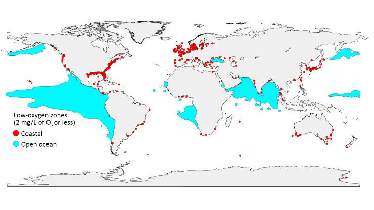 Rejony mórz i oceanów o niskiej zawartości tlenu na świecie rosną. Czerwonymi kropkami oznaczono obszary na wybrzeżach, gdzie zawartość tlenu wynosi najwyżej 2 mg na litr. Kolorem niebieskim oznaczono podobnie niskie stężenie tlenu, ale w obszarach otwartego oceanu.   Źródło: GO2NE working group. Dane z World Ocean Atlas 2013, R. J. Diaz