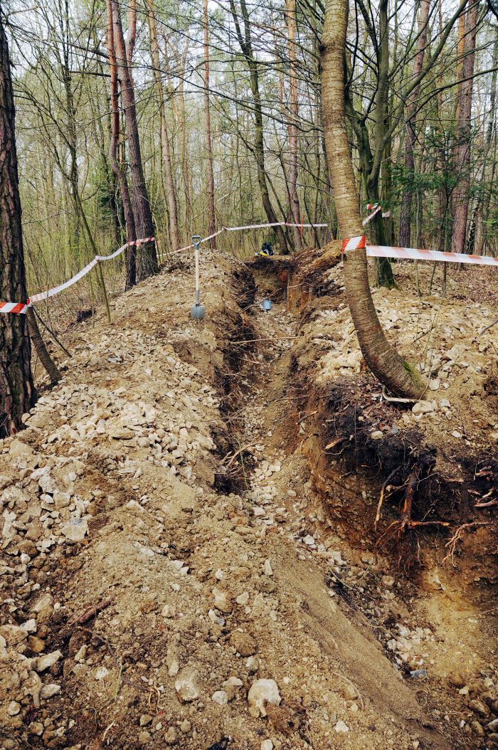 Prace wykopaliskowe w lesie miłoszowskim. Źródło: Andrzej Baliński