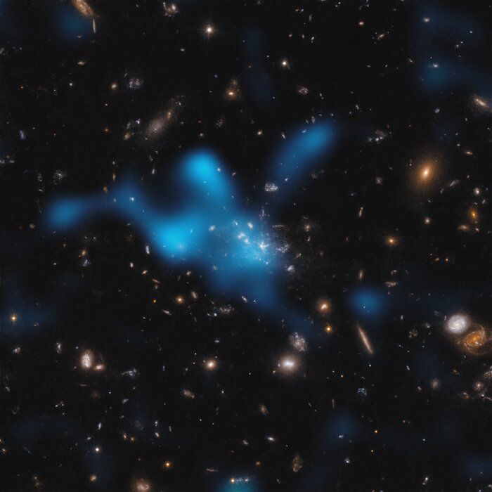 Protogromada wokół galaktyki Spiderweb (MRC 1138-262), widziana w okresie, gdy Wszechświat miał 3 miliardy lat. Większość masy protogromady nie znajduje się w galaktykach widocznych w centrum zdjęcia, ale w gazie nazywanym ośrodkiem wewnątrzgromadowym (ang. intracluster medium, ICM). Gorący gaz w ICM został tutaj pokazany jako niebieskie plamy. Źródło: ESO/Di Mascolo et al.; HST: H. Ford.