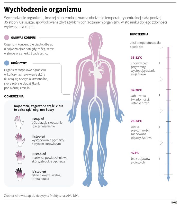 Fot. Infografika PAP