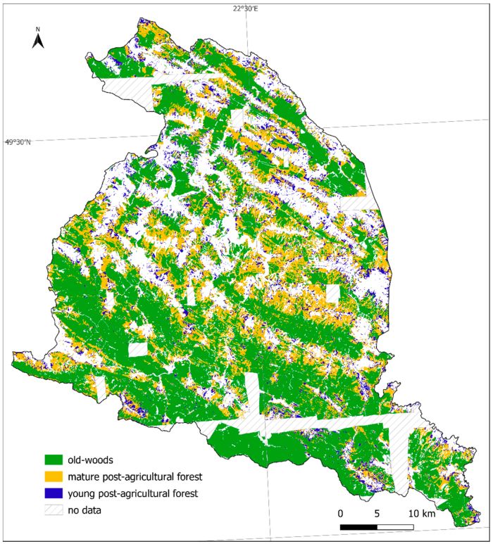 Fot: Mapa Karpat Wschodnich. Na zielono zaznaczone lasy stare, na żółto - dojrzałe  lasy porolne, na niebiesko - młode lasy porolne. Źródło: Remote Sens. 2021, 13(10), 2018; Z. JabsSobocińska et al. https://doi.org/10.3390/rs13102018