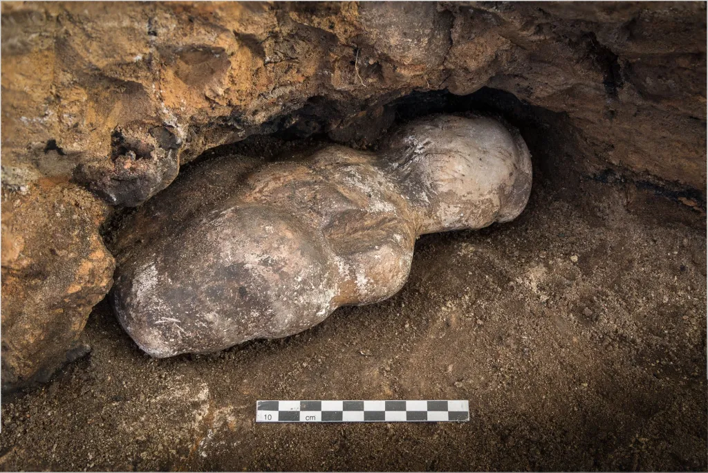 Kamienna figurka w momencie odkrycia. Fot. Çatalhöyük Research Project 