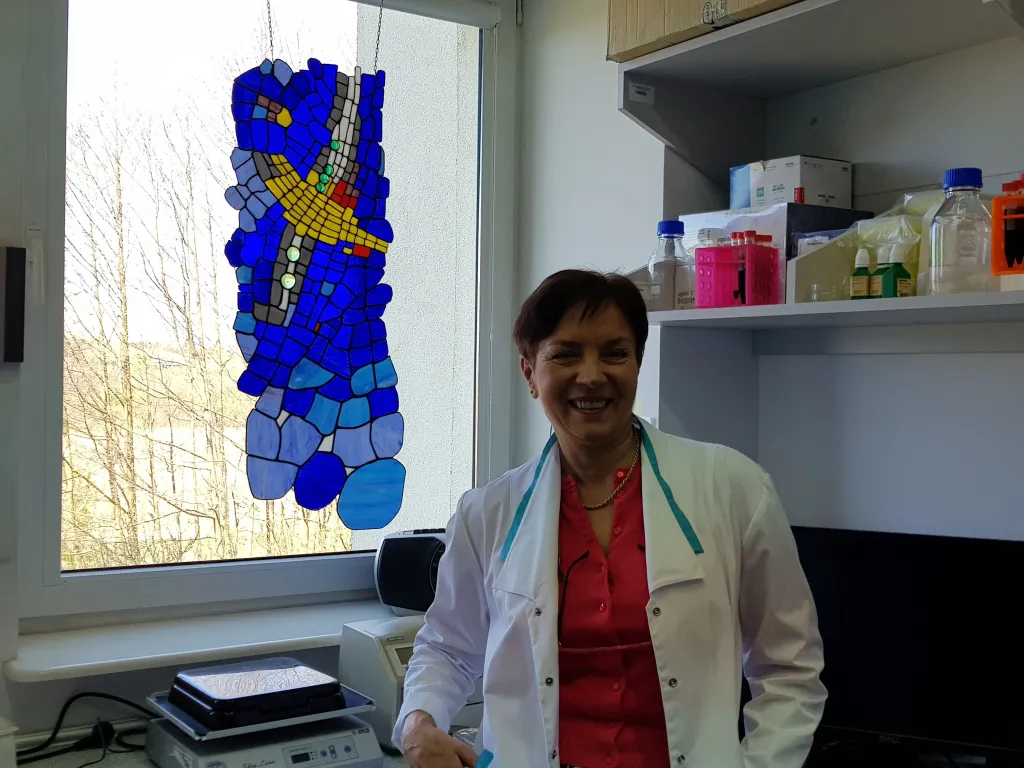 Źródło: B. Gawrońska-Kozak