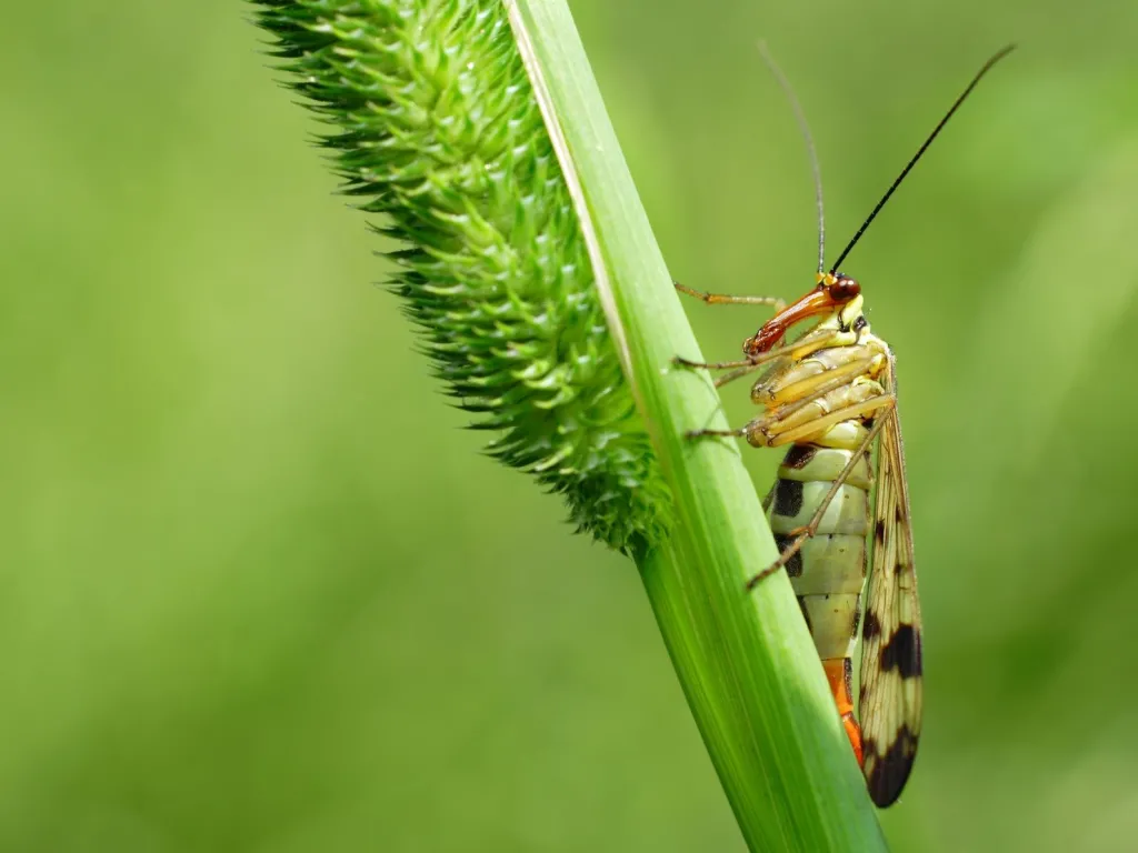 Fot. Fotolia
