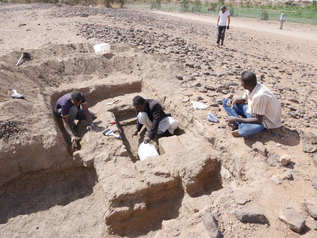 Sondaż archeologiczny w forcie Hosh el-Kab. Badacze natknęli sie na budowle z cełgy mułowej. Fot. Mariusz Drzewiecki