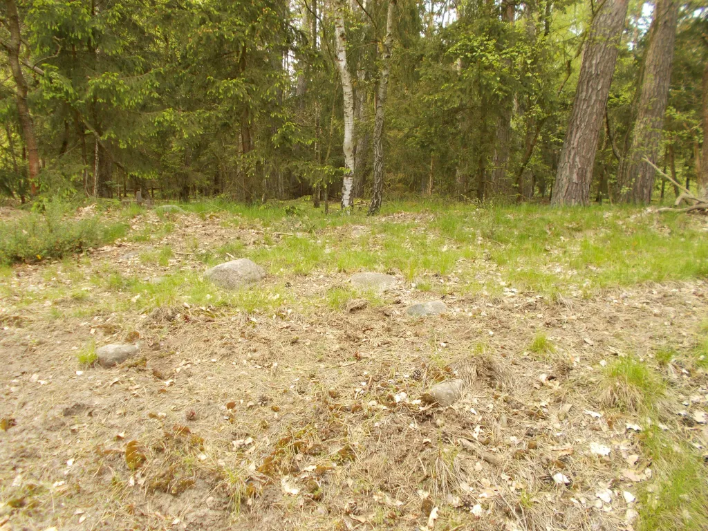 Na trawie widoczne są duże głazy, które tworzyły kamienną obstawę grobowca, fot. B. Przybyła