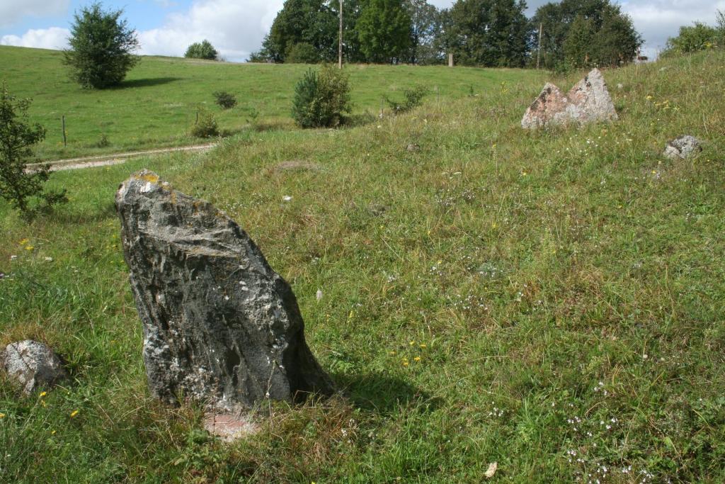 Stele kamienne na cmentarzysku w Jagintach gm. Nowy Dwór, woj. podlaskie (fot. Hubert Lepionka)