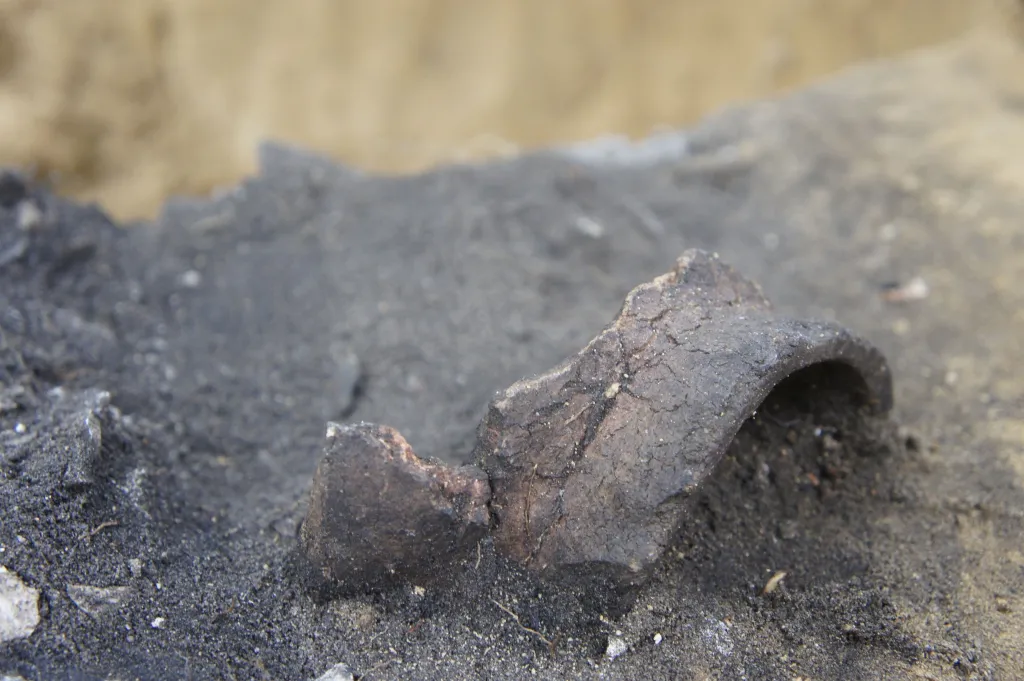 Fragmenty glinianego pucharka znalezionego w jednym z grobów (fot. Monika Radzikowska)