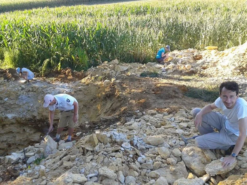 Liczne skamieniałości znaleziono na... polu kukurydzy. Fot. Daniel Tyborowski