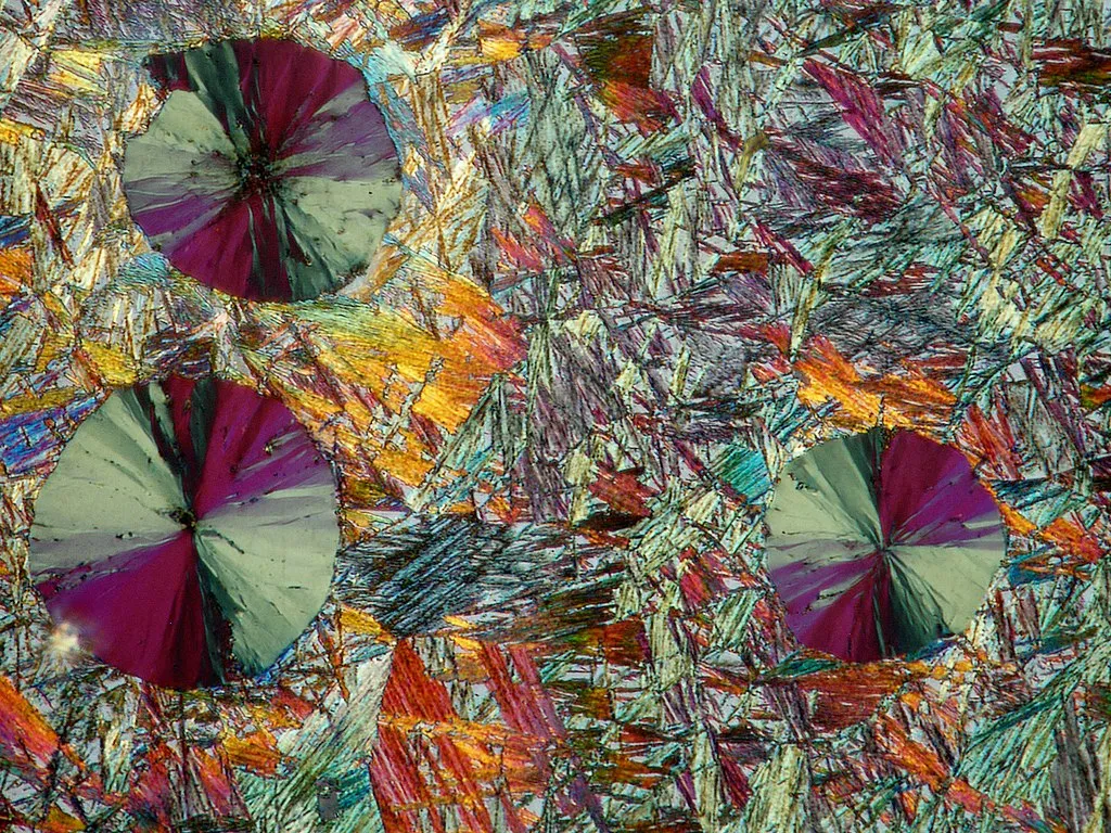 Źródło: LBoron Łukasz Boroń [CC BY 4.0] via Wikimedia Commons