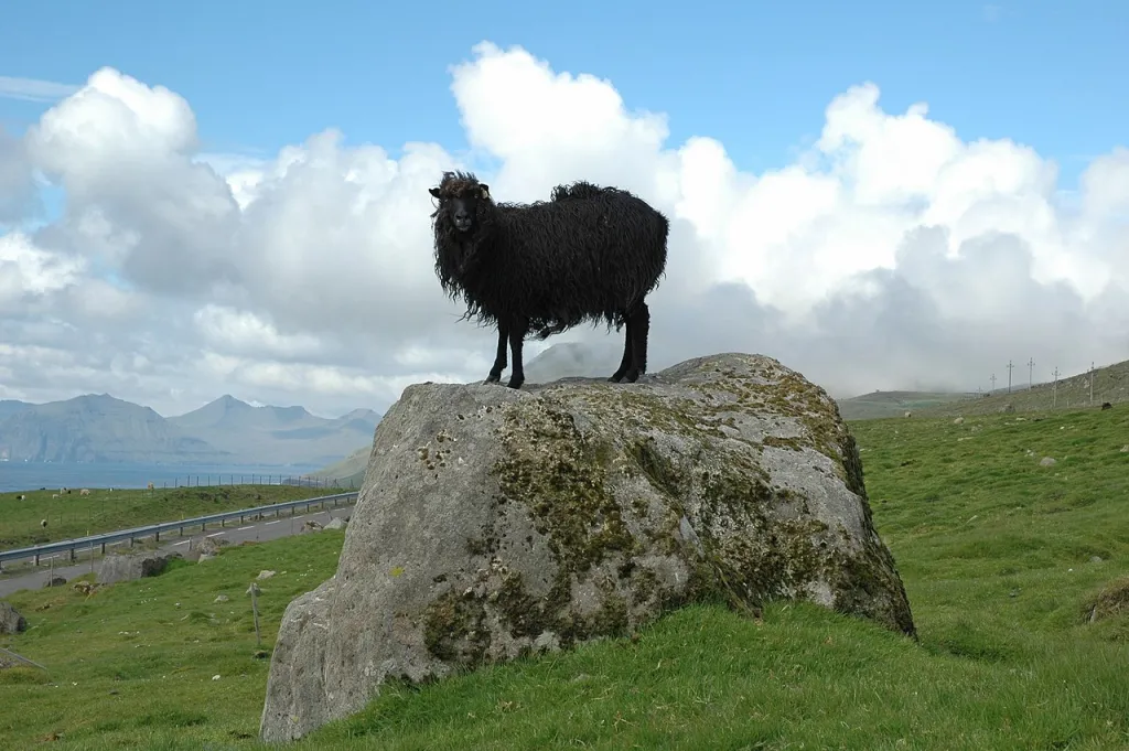 Źródło: PanWoyteczek [CC BY 4.0] via Wikimedia Commons