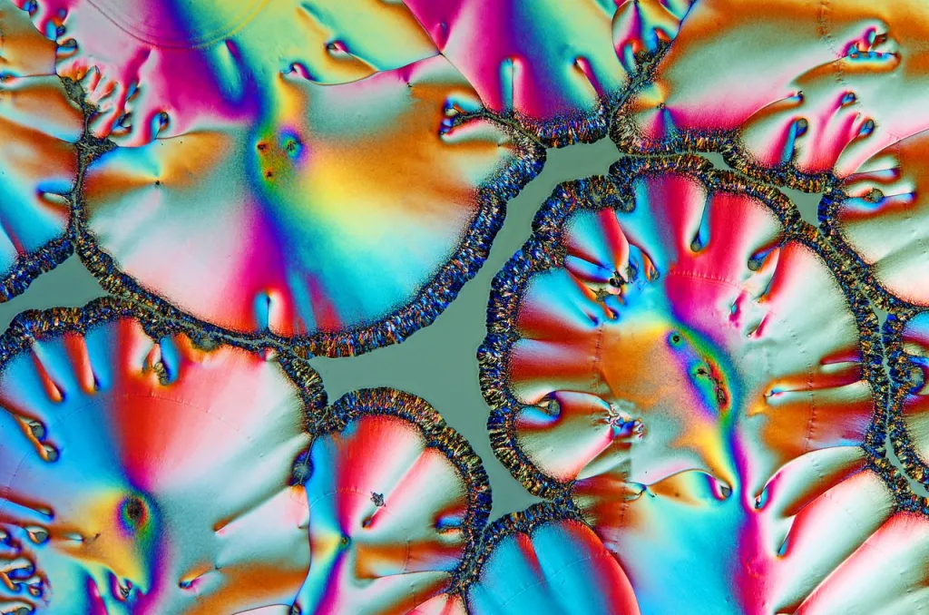 Źródło: MarekMiś [CC BY 4.0] via Wikimedia Commons