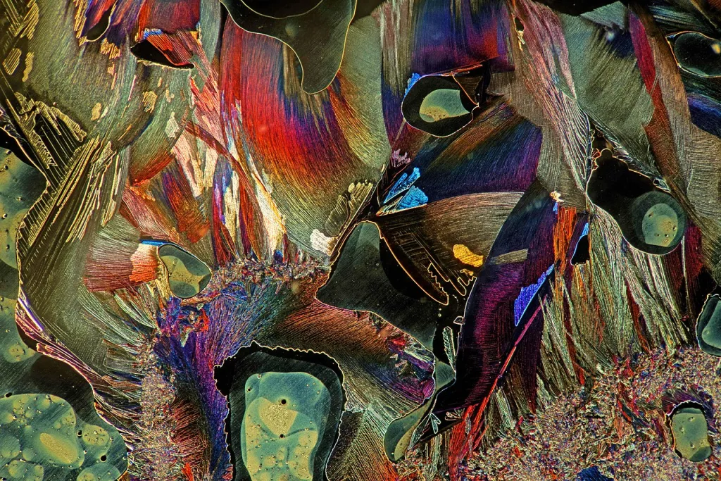 Źródło: MarekMiś  [CC BY 4.0] via Wikimedia Commons