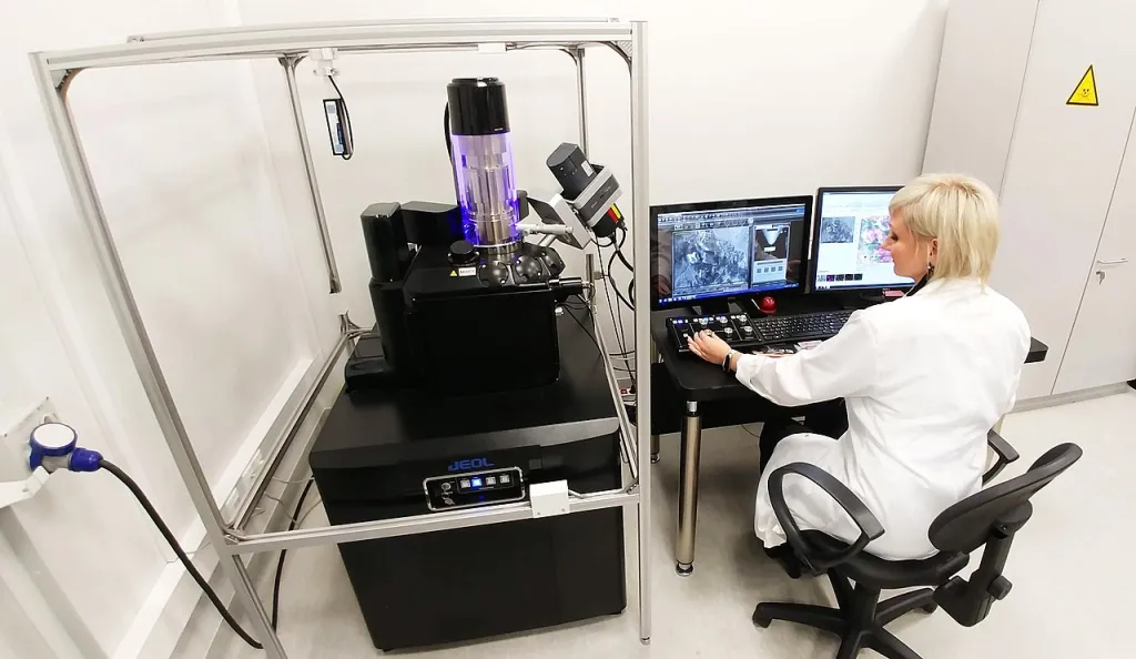 Źródło: Dabriela P. [CC BY 4.0] via Wikimedia Commons