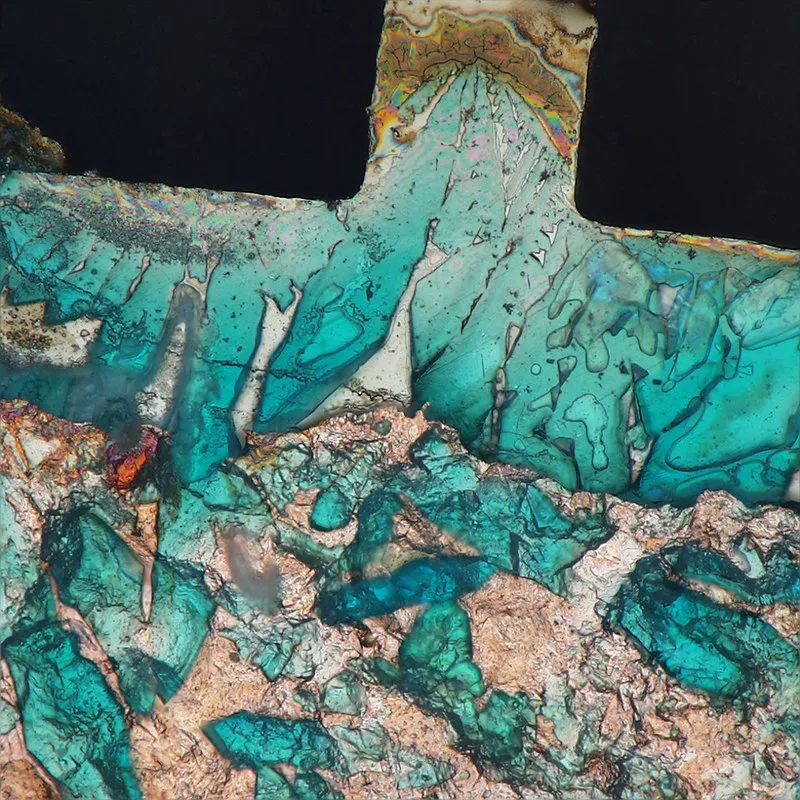 Źródło: Michał Milczarek [CC BY 4.0] via Wikimedia Commons