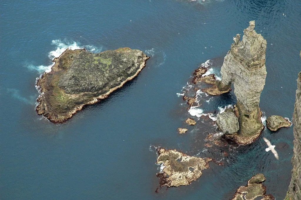 Źródło: PanWoyteczek [CC BY 4.0] via Wikimedia Commons