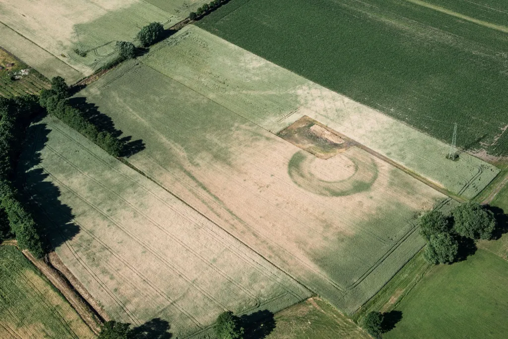 Archeolodzy nie tylko namierzyli nieznane grodziska, ale też zadokumentowali te widniejące w ewidencji konserwatorskiej. Gródek w Ostrowie Wielkopolskim.  Fot. M.Mackiewicz