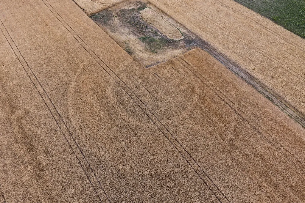 Archeolodzy nie tylko namierzyli nieznane grodziska, ale też zadokumentowali te widniejące w ewidencji konserwatorskiej.Grodzisko w Ostrowie Wielkopolskim. Fot. M.Mackiewicz