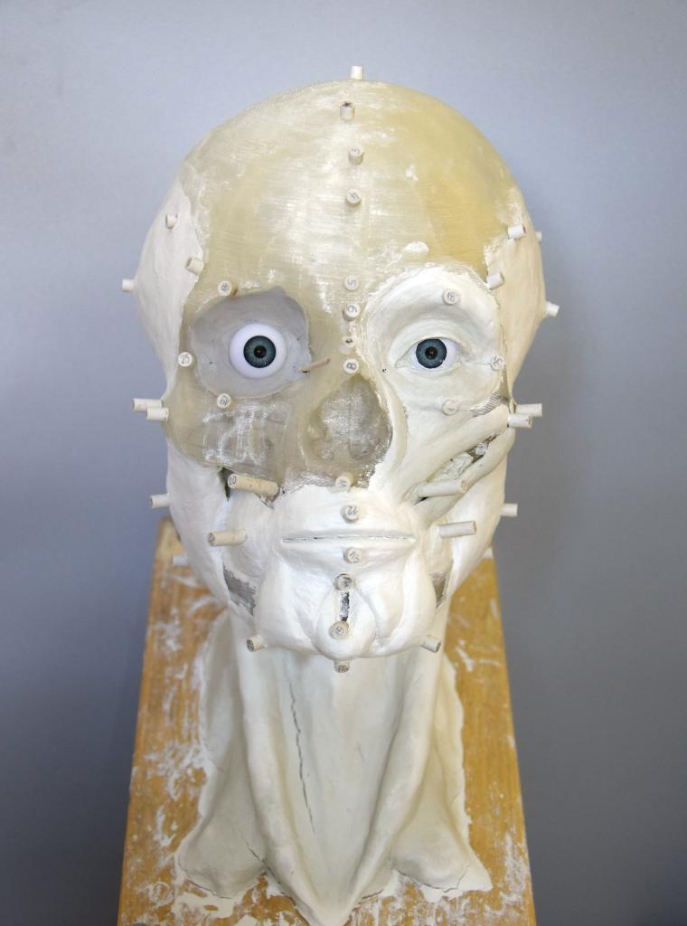 Druk 3D czaszki z grobu 92 podczas wykonywania rekonstrukcji (fot. B. Drupka & J. Wysocka)
