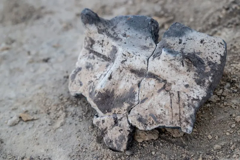Brzeg naczynia zdobiony ornamentem antropomorficznym z okresu wczesnego neolitu, znaleziony podczas prac archeologicznych w Biskupicach. Podczas badań znaleziono przedmioty z okresu wczesnego neolitu, sprzed siedmiu tysięcy lat. Fot. PAP/Łukasz Gągulski 26.08.2020