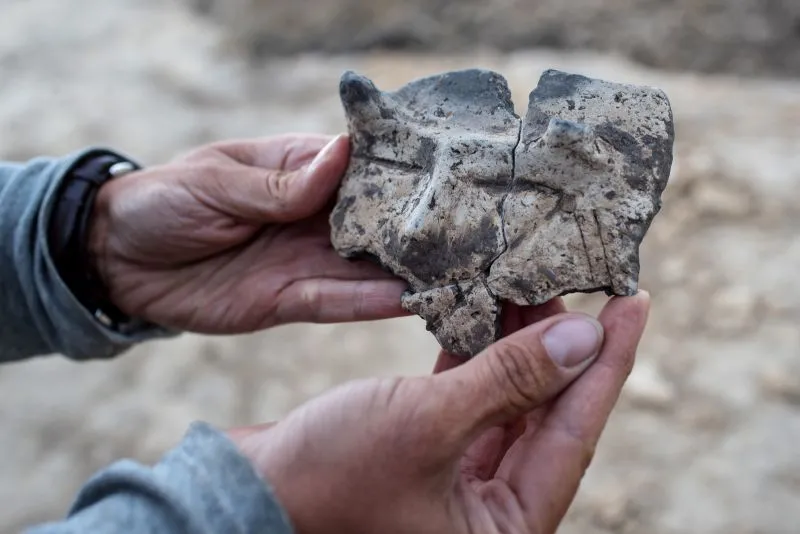 Brzeg naczynia zdobiony ornamentem antropomorficznym z okresu wczesnego neolitu, znaleziony podczas prac archeologicznych w Biskupicach. Podczas badań znaleziono przedmioty z okresu wczesnego neolitu, sprzed siedmiu tysięcy lat. Fot. PAP/Łukasz Gągulski 26.08.2020