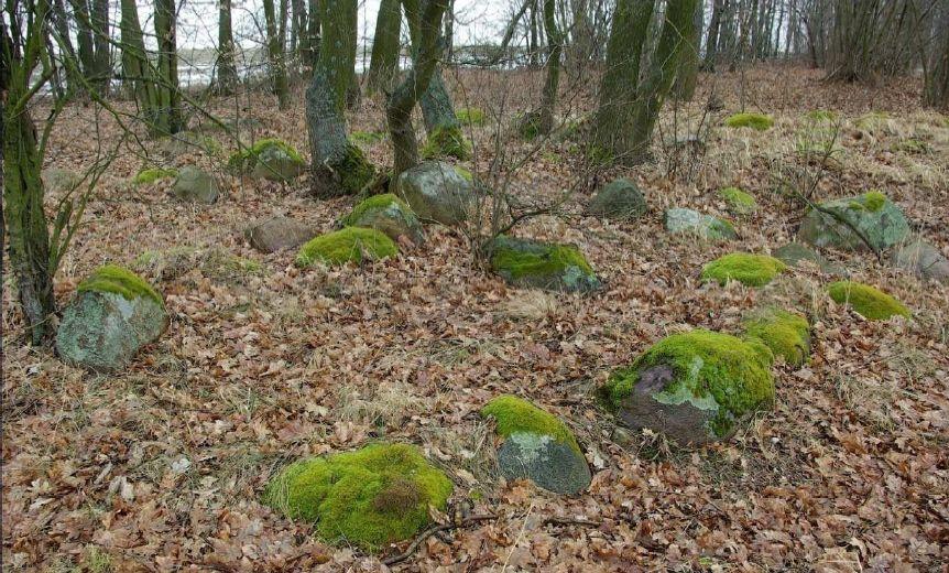 Zagadkowe średniowieczne groby z obstawą kamienną. Fot. M. Dzik.