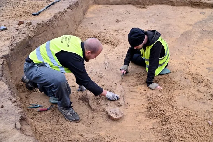 22.09.2021. Badania archeologiczne na cmentarzysku Wzgórze Wisielców w Wolinie, 22 bm. To prawdopodobnie największe cmentarzysko wczesnośredniowieczne w północnej Europie. Naukowcy odkryli kilkanaście miejsc pochówków z X i XI w. Badania prowadzi IAE PAN. PAP/Marcin Bielecki