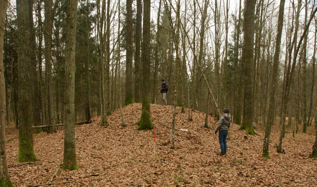 Weryfikacja powierzchniowa kopców w uroczysku Szczekotowo. Jesień 2016. Fot. H. Olczak