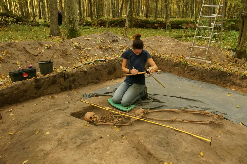 Szkielet znaleziony we wczesnośredniowiecznym kurhanie na cmentarzysku w uroczysku Szczekotowo. Jesień 2014 r. Fot. D. Krasnodębski 