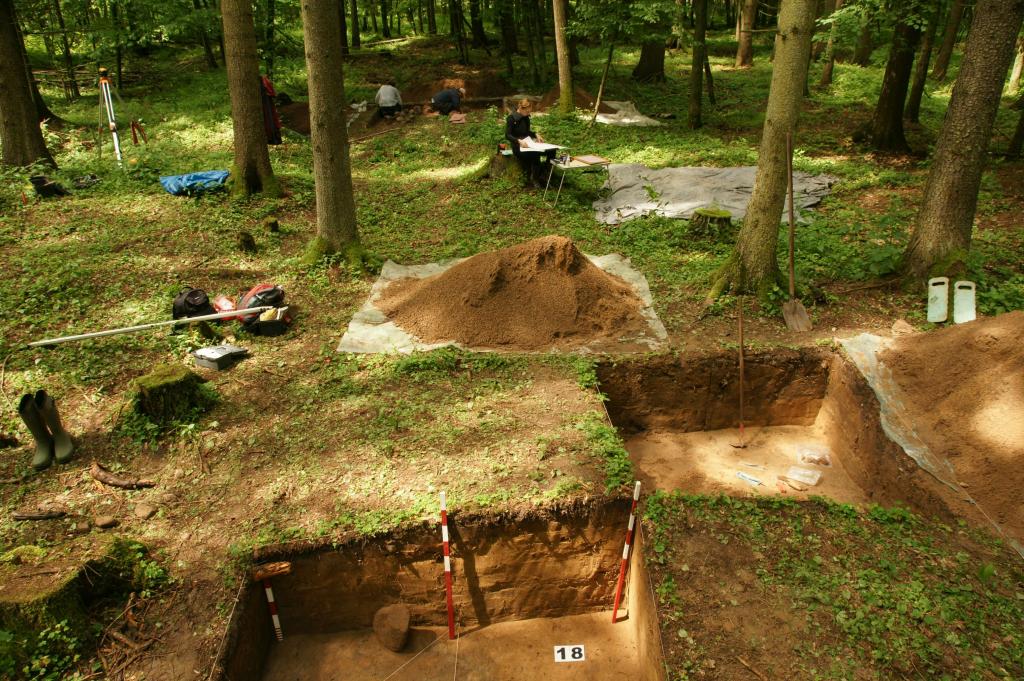 Badania na wczesnośredniowiecznym cmentarzysku kurhanowym w uroczysku Jelonka. Wiosna 2014 r. Fot. D. Krasnodębski