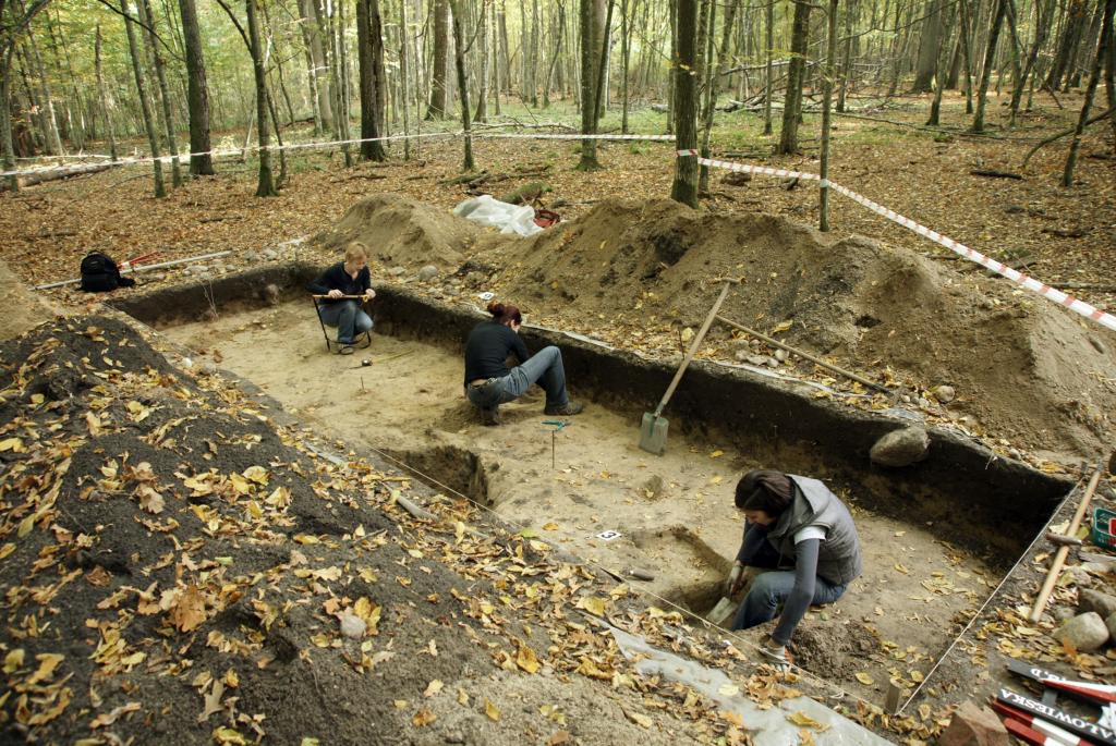 Badania na wczesnośredniowiecznej osadzie w uroczysku Obołonie. Jesień 2011 r. Fot. D. Krasnodębski