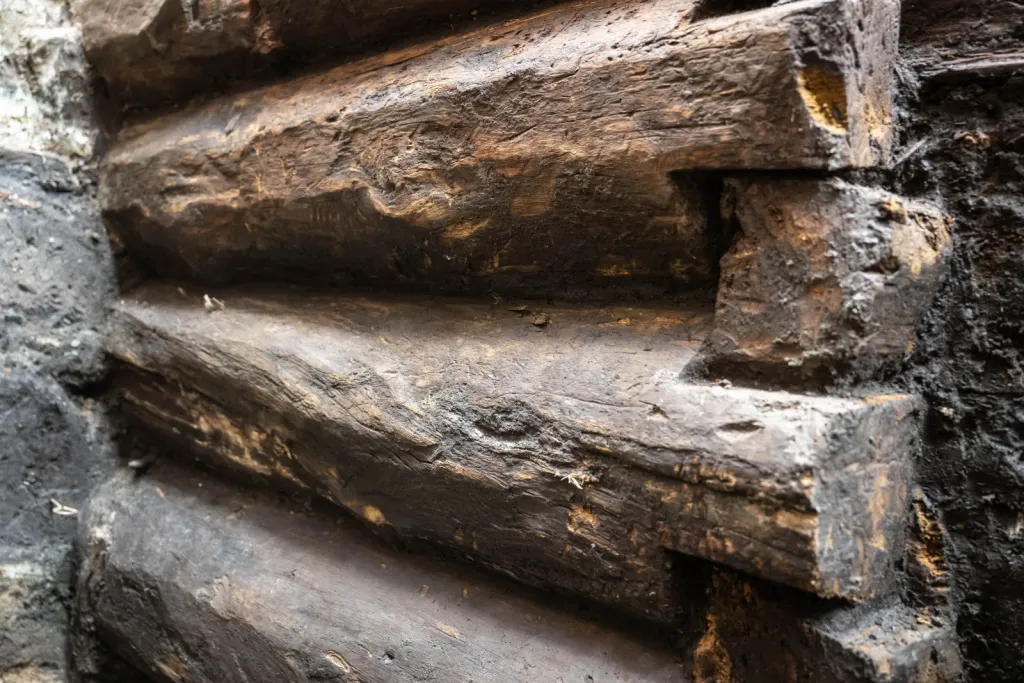 Toruń, 19.11.2025. Fragment nieznanych wcześniej drewnianych konstrukcji z XIII wieku, 19 bm. w Toruniu. Konstrukcje odkryte zostały podczas badań archelogocznych na dziedzińcu Domu Mikołaja Kopernika w Toruniu. To jedne z najstarszych takich znalezisk w mieście. Konstrukcje trafią do konserwacji i staną się elementem przyszłej wystawy stałej muzeum. (mr) PAP/Tytus Żmijewski