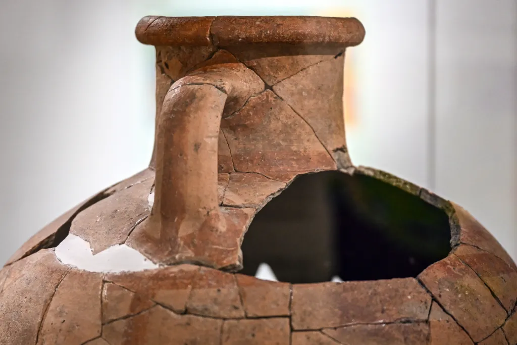 25.11.2025. Otwarcie wystawy „Grodzisko w Chotyńcu. Zachodnia Brama Scytii” w budynku głównym Muzeum Narodowego Ziemi Przemyskiej. PAP/Darek Delmanowicz