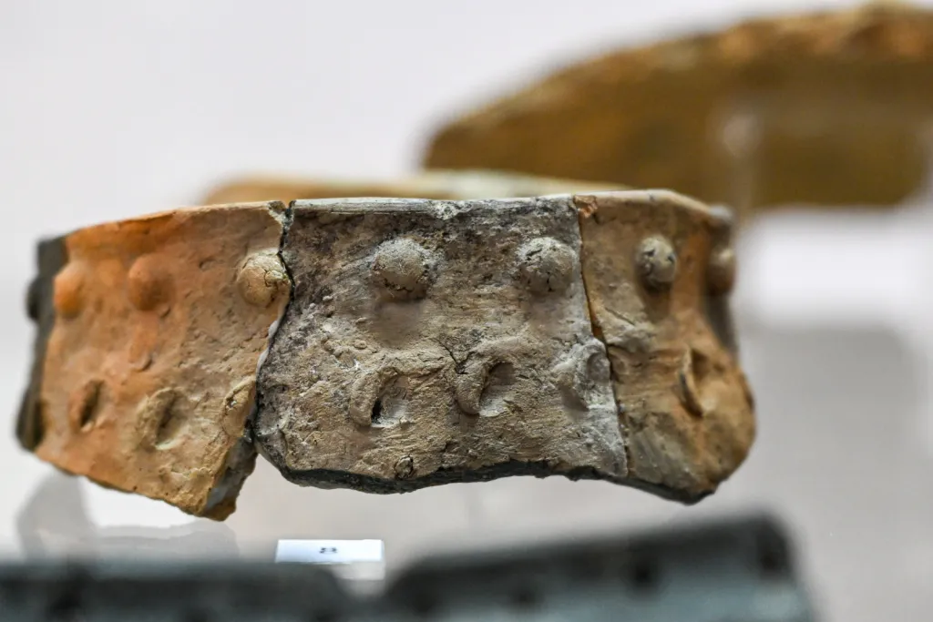 25.11.2025. Otwarcie wystawy „Grodzisko w Chotyńcu. Zachodnia Brama Scytii” w budynku głównym Muzeum Narodowego Ziemi Przemyskiej. PAP/Darek Delmanowicz