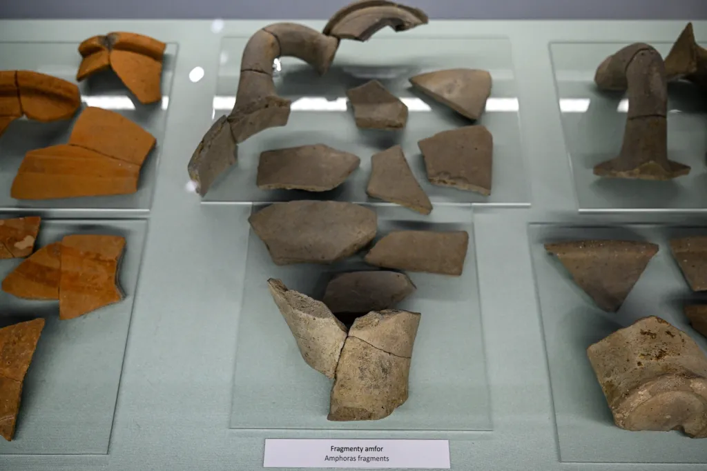 25.11.2025. Otwarcie wystawy „Grodzisko w Chotyńcu. Zachodnia Brama Scytii” w budynku głównym Muzeum Narodowego Ziemi Przemyskiej. PAP/Darek Delmanowicz