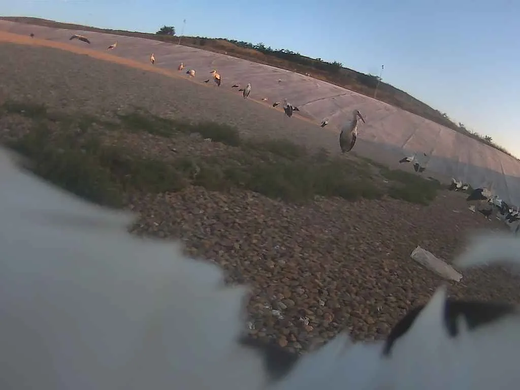 Fot. materiały prasowe UPP