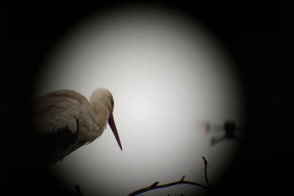 Fot. materiały prasowe UPP