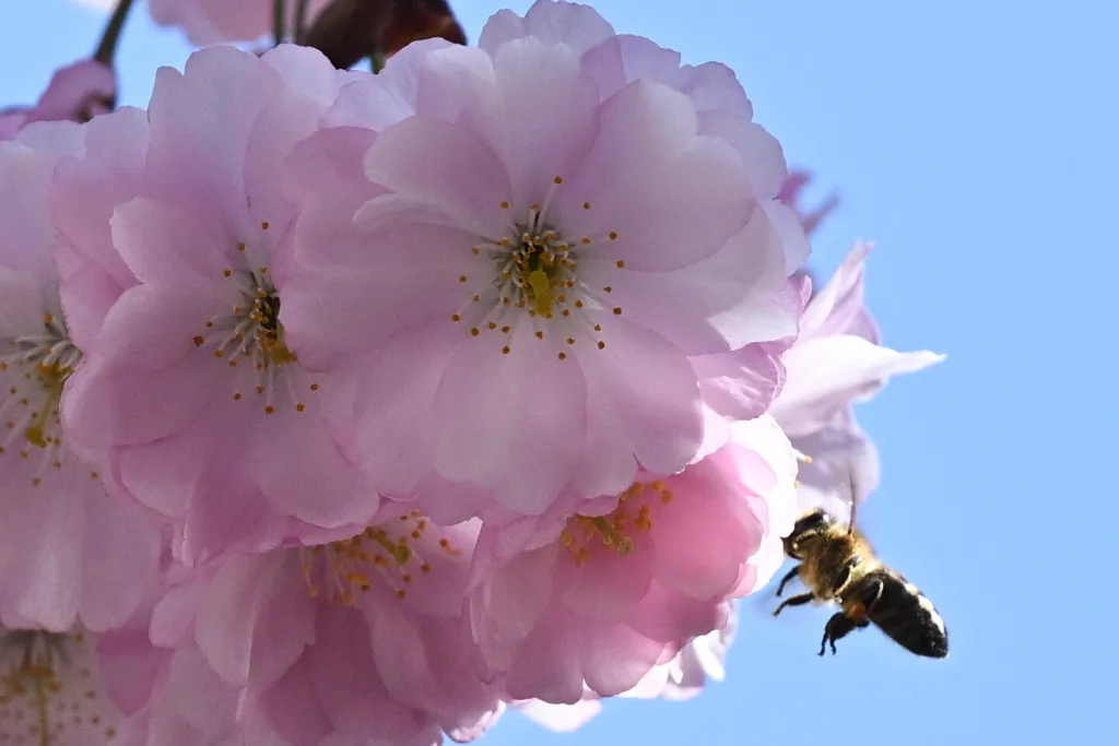 01.04.2026 PAP/Radek Pietruszka