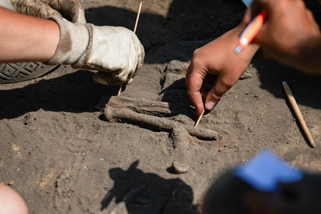  02.09.2026. Prace na stanowisku archeologicznym w miejscowości Żórawina k. Wrocławia, 2 bm. Prace pod kierunkiem szefa Zakładu Archeologii Epoki Brązu i Wczesnej Epoki Żelaza Uniwersytetu Wrocławskiego prof. Tomasza Gralaka mają za zadanie ustalenie pochodzenia odnalezionych osób, wyjaśnienie ich wzajemnych relacji oraz dostarczenie informacji o społecznościach, które około 2900 r. p.n.e. pojawiły się na terenie dzisiejszego Dolnego Śląska. (amb) PAP/Krzysztof Ćwik 