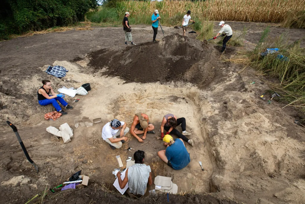  02.09.2026. Prace na stanowisku archeologicznym w miejscowości Żórawina k. Wrocławia, 2 bm. Prace pod kierunkiem szefa Zakładu Archeologii Epoki Brązu i Wczesnej Epoki Żelaza Uniwersytetu Wrocławskiego prof. Tomasza Gralaka mają za zadanie ustalenie pochodzenia odnalezionych osób, wyjaśnienie ich wzajemnych relacji oraz dostarczenie informacji o społecznościach, które około 2900 r. p.n.e. pojawiły się na terenie dzisiejszego Dolnego Śląska. (amb) PAP/Krzysztof Ćwik 