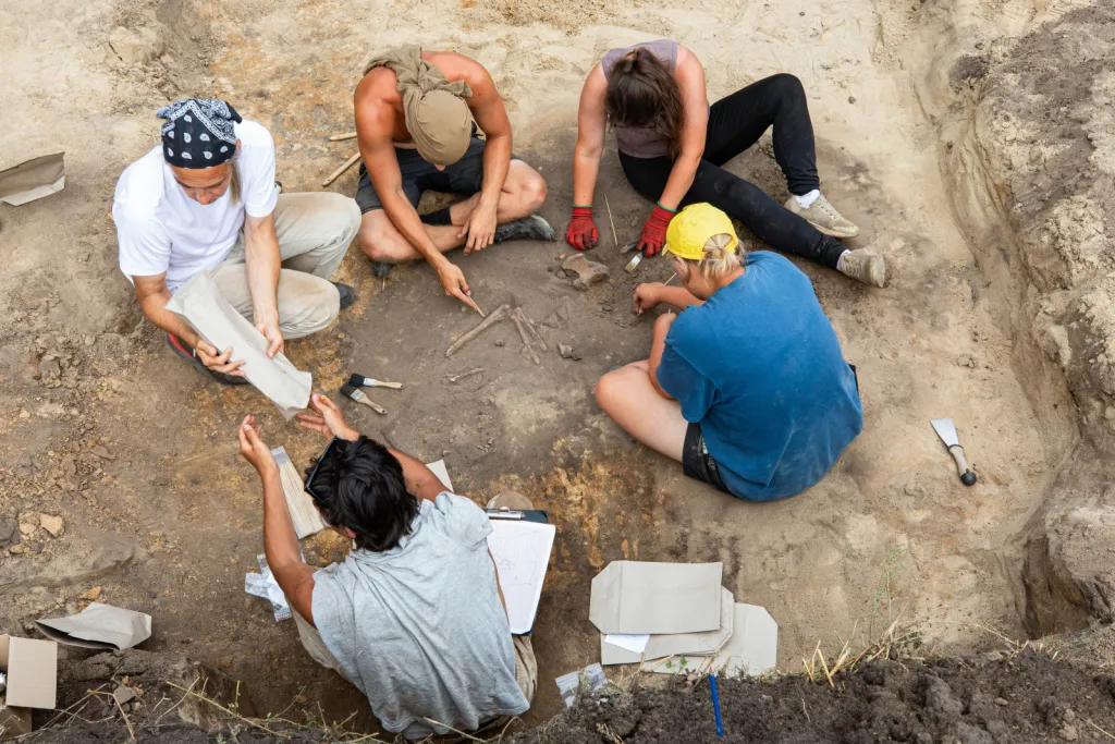  02.09.2026. Prace na stanowisku archeologicznym w miejscowości Żórawina k. Wrocławia, 2 bm. Prace pod kierunkiem szefa Zakładu Archeologii Epoki Brązu i Wczesnej Epoki Żelaza Uniwersytetu Wrocławskiego prof. Tomasza Gralaka mają za zadanie ustalenie pochodzenia odnalezionych osób, wyjaśnienie ich wzajemnych relacji oraz dostarczenie informacji o społecznościach, które około 2900 r. p.n.e. pojawiły się na terenie dzisiejszego Dolnego Śląska. (amb) PAP/Krzysztof Ćwik 