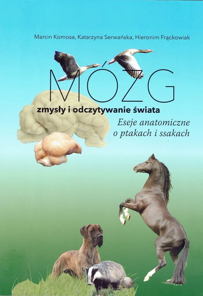 materiały prasowe