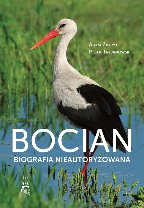 Źródło: mat. prasowe