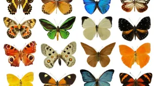 Źródło: Fotolia