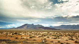 Pustynia Mojave. Fot. Adobe Stock