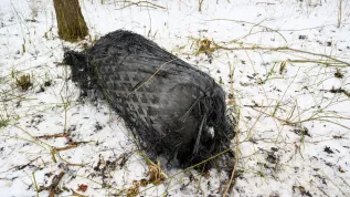  Sędziny, 21.02.2025. Niezidentyfikowany obiekt, najprawdopodobniej zbiornik rakiety Falcon 9 na miejscu znalezienia w lesie w miejscowości Sędziny w pow. Szamotulskim, 21. bm. W środę 19 bm. przed godziną piątą rano w niekontrolowany sposób w atmosferę nad Polską wszedł człon rakiety Falcon 9 R/B firmy SpaceX, co zostało potwierdzone przez Departament Bezpieczeństwa Kosmicznego Polskiej Agencji Kosmicznej (POLSA). Człon rakiety o masie ok. 4 ton pochodził z misji SpaceX Starlink Group 11-4, która 1 lutego wystartowała z bazy lotniczej w Kalifornii. (jm) PAP/Jakub Kaczmarczyk